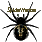 Spider Logo